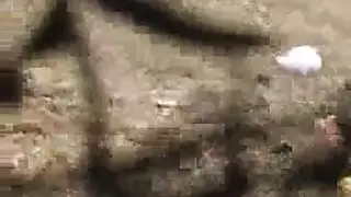 مثلية ثلاثية في المطبخ ركوب مزدوج للوجه وتمدد شديد