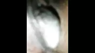 يطقع سمين التدلي