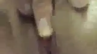 ثلاثي فاسق ينتهي بحمام منوي فوضوي