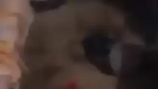 عميل يصور ويعرض جلسة نيك صعبة لريما