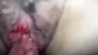 خيال الفتاة الهندية: مص قضبان جماعي مع أربعة فحول