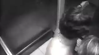 بورن في مصعد عام: وضعية الكلب الخشنة والإمساك بالثدي