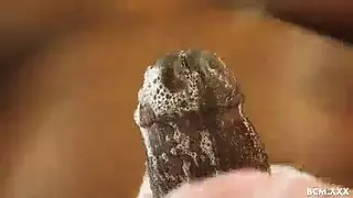 فتاة نحيلة تتحول إلى متوحشة، تمص القضيب وتتلقى ضربات قوية على المكتب