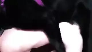 ٤ فتاة مثيرة في أوضاع جنسية متطرفة: حركة مثيرة