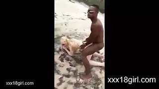 فحل أسود ينيك شقراء عريضة