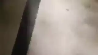 ملكه و خدم شيميل