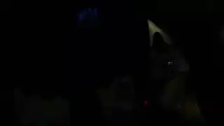 حفلة جنس غريبة: فيلم بورن طويل