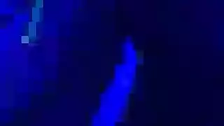 تفتح ساقيها للكاميرا: أول ظهور إباحي لنهال عنبر