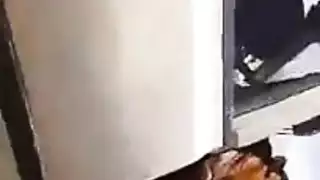 نيك وهما عالقين فى المطبخ