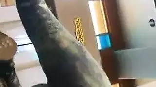 اطفال يلعبون في ديوكهم