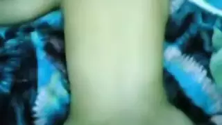 خشب الأبنوس الجنس الشرجي نطفة الحمار الكبير