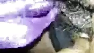 الهرة الأكل الرسوم المتحركة الفرنسية