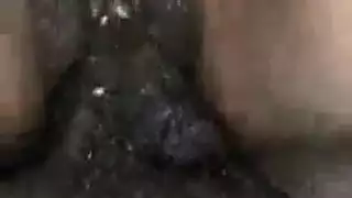 نموذج ضيق الهرة