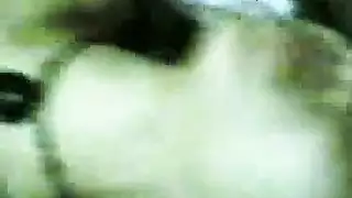 الأندونيسية في سن المراهقة لاتيني مجس نبات