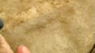 هواة جبهة مورو فنزويلا حلق عميق