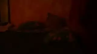 مثليه البرازيلي هواة الفرنسية مطبخ