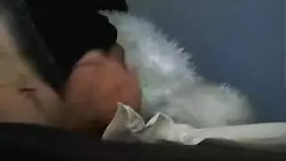 س موريطانيتن