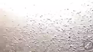 قذر شعر مصبوغ الايطالية أمي