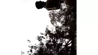 محلول سكرتيرات بدين