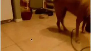 كاميرا إباحية: مطلقة وحيدة تفتح مؤخرتها