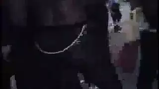 قطار جنس شرجيّ لفتيات ممتلئات بقسوة