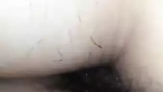 معرض صور ذكر منتفخ مجموعة صور إباحية